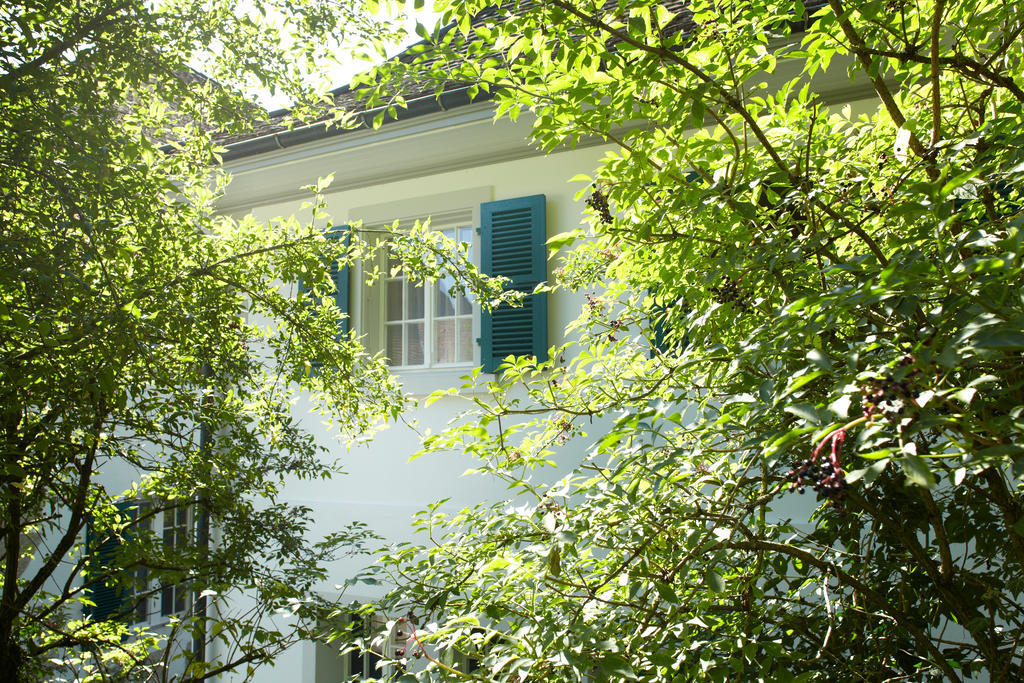 Chateau Attisholz Riedholz Δωμάτιο φωτογραφία